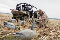 Howard Communications Photo Library-Waterfowl-0020